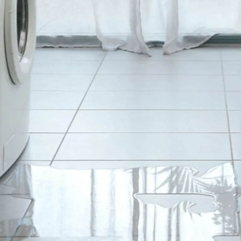 Appliance Leak Cleanup in Shokan, NY